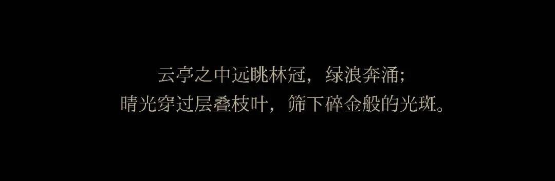 4e1dd67f2b8523af9075c0839878d599.jpg